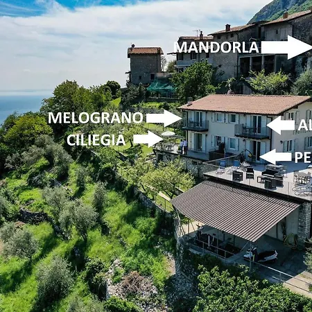 Melograno *