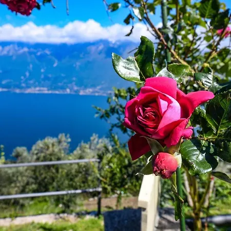 Melograno Tignale