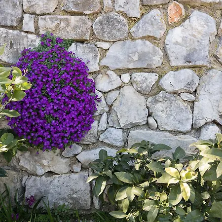 Daire Melograno Tignale