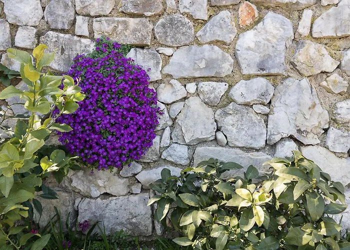 Apartment Melograno Tignale