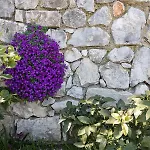 Appartement Melograno Tignale